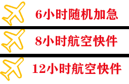 阿里普兰机场空运快递公司,专业空运当天件